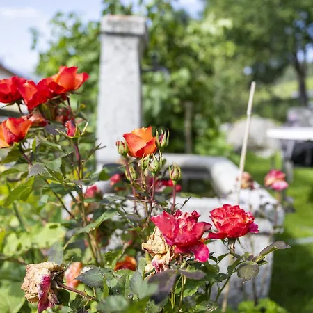 Apartamento Chasa Ulrica Ftan