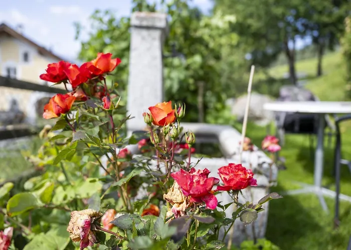 شقة Chasa Ulrica فتان